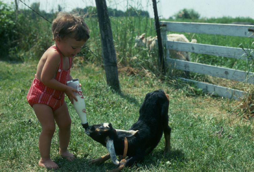  at Windy Acres Farm in Ohio, summer 1975